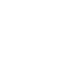 QR White